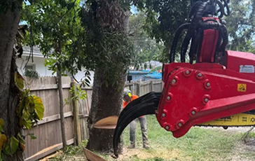 Crane-assisted tree removal by My Florida Tree Guys to safely clear large pines from a tight Jacksonville backyard.